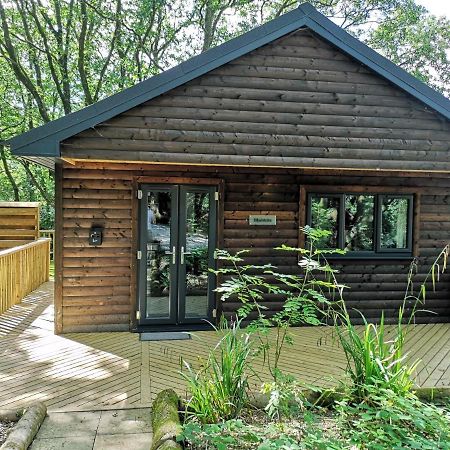 Bluestone-Hot Tub-Woodlandlodges-Pembrokeshire-Tenby Кармартен Экстерьер фото